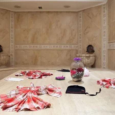 Istanbul Suite Hotel Stambuł