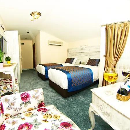Istanbul Suite Hotel Ξενοδοχείο Κωνσταντινούπολη